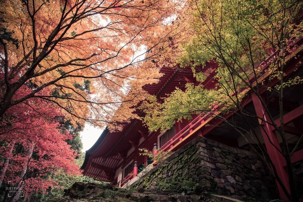 比叡山延曆寺賞楓