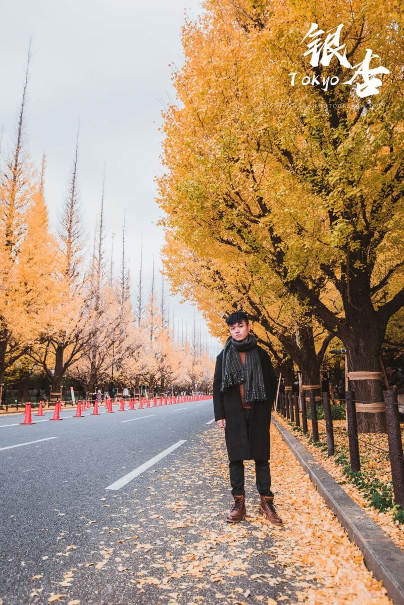 明治神宮外苑的銀杏大道是很好拍攝人像的地點。