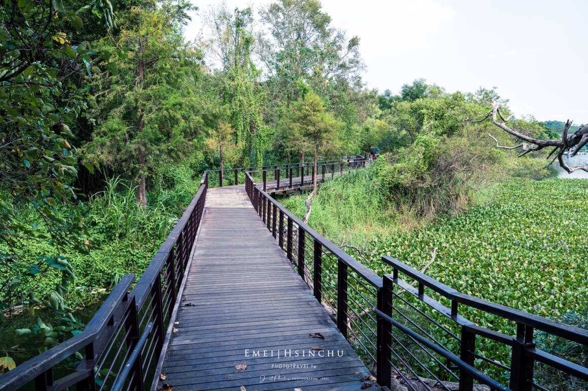 峨眉湖環湖步道沿路都已鋪設木棧道且平緩，很適合全家大小一起來漫遊。
