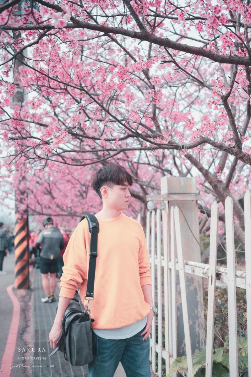 拍攝櫻花的五個小技巧