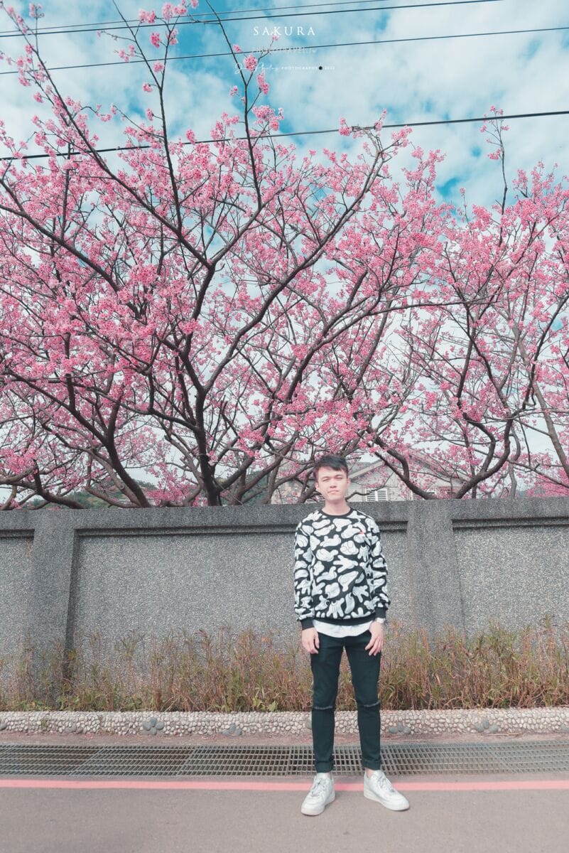 拍攝櫻花的五個小技巧