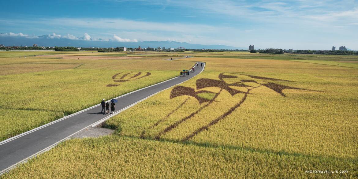 宜蘭冬山伯朗大道