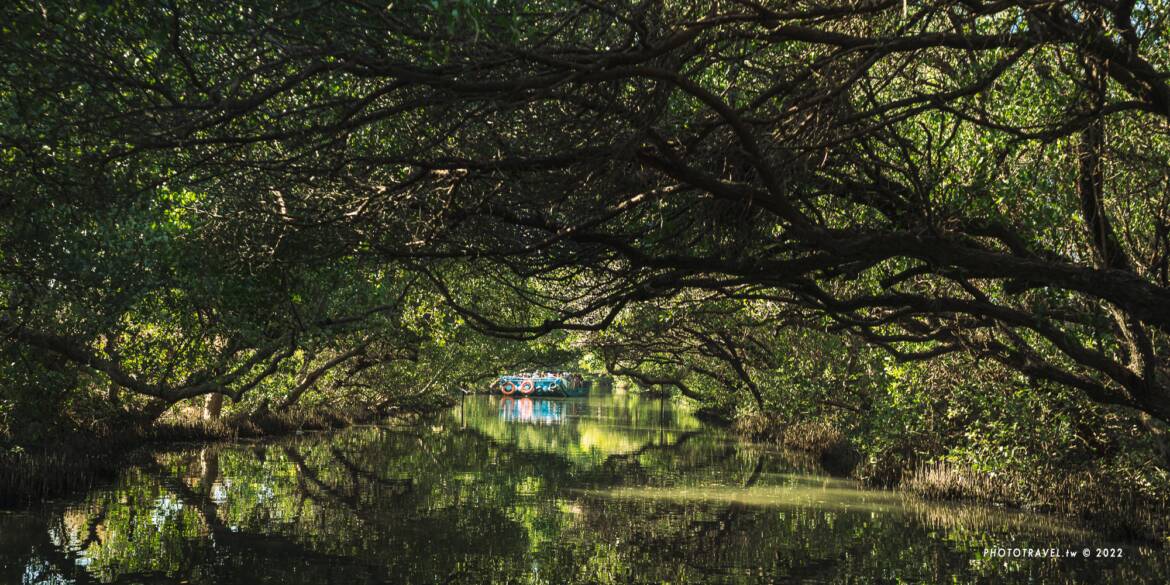 台南四草綠色隧道