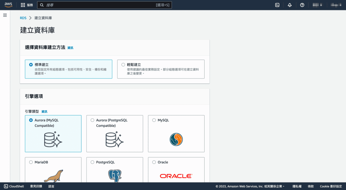 AWS RDS是目前被廣泛運用的資料庫存取平台。
